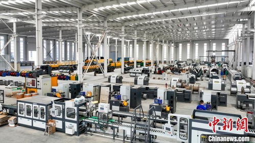 山東精準施策打出“組合拳”，激活民營經濟發展新引擎